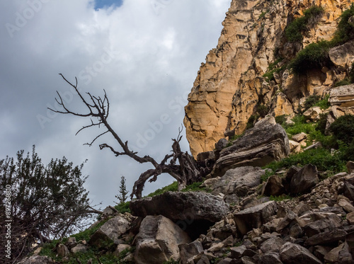 Avakas Gorge in Cyprus.. photo