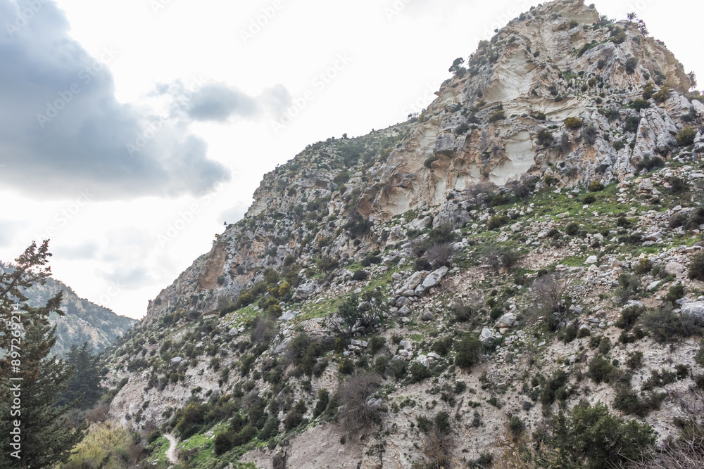 Avakas Gorge in Cyprus.. Avakas Gorge in Cyprus..
