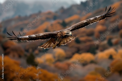 Stunning image of an eagle flying over an impressive mountain range during autumn, showcasing the vibrant colors of fall and the bird's powerful movement and precision. photo