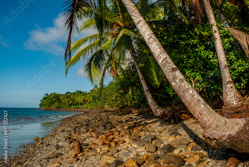 Gorgona Island_Pacific Ocean_Colombia photo