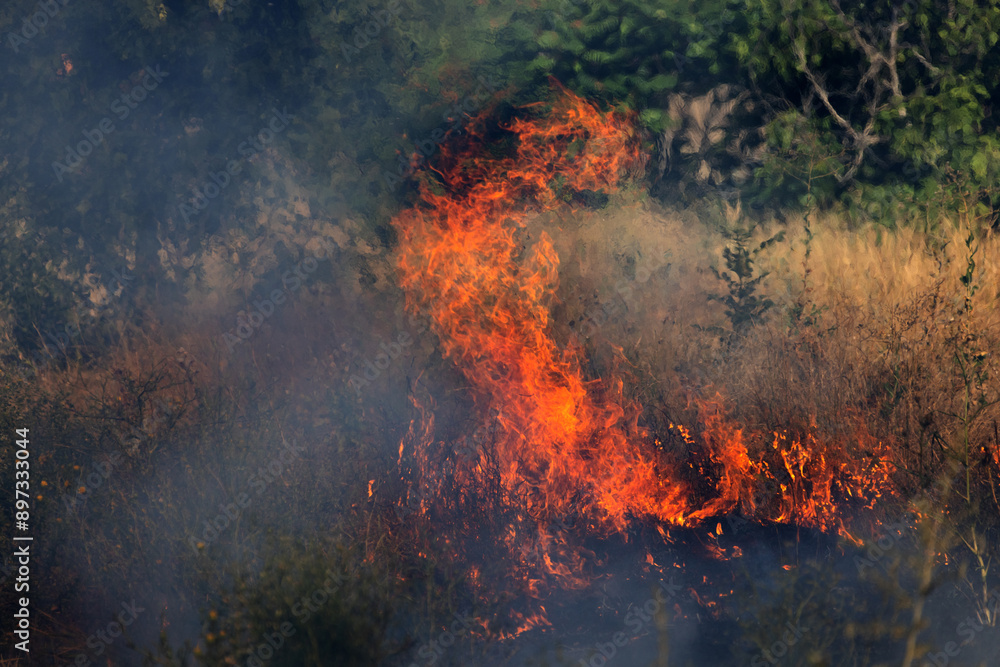Forest and steppe fires dry completely destroy the fields and steppes during a severe drought. Disaster brings regular damage to nature and economy of region. Lights field with the harvest of wheat Forest and steppe fires dry completely destroy the fields and steppes during a severe drought. Disaster brings regular damage to nature and economy of region. Lights field with the harvest of wheat