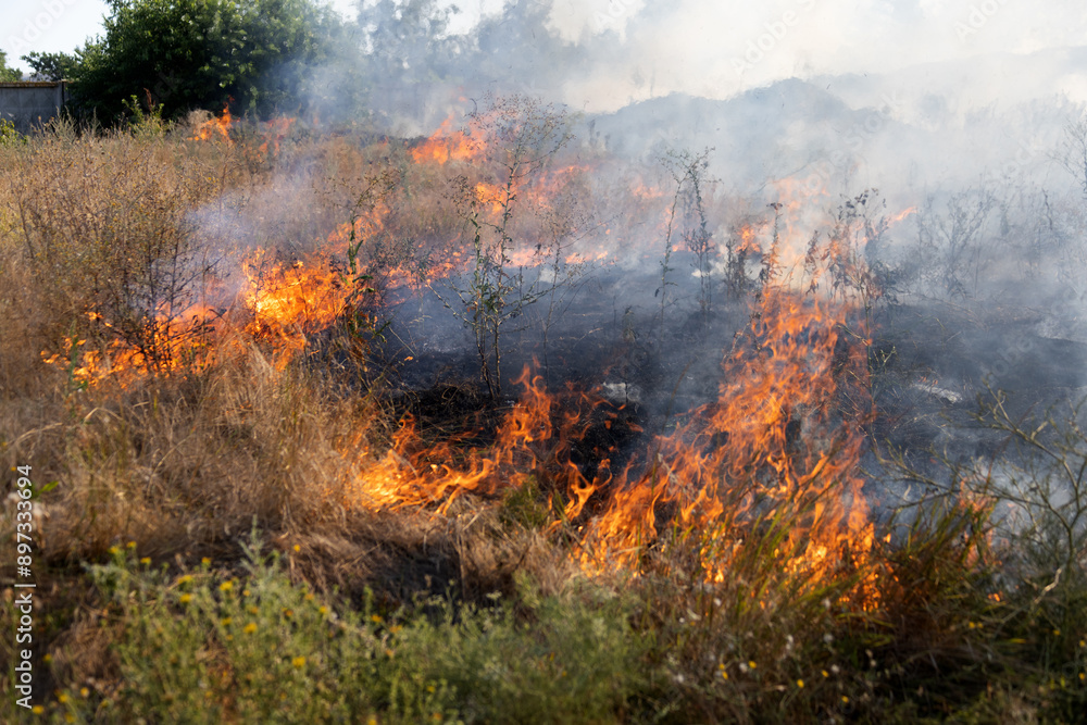 Forest and steppe fires dry completely destroy the fields and steppes during a severe drought. Disaster brings regular damage to nature and economy of region. Lights field with the harvest of wheat Forest and steppe fires dry completely destroy the fields and steppes during a severe drought. Disaster brings regular damage to nature and economy of region. Lights field with the harvest of wheat