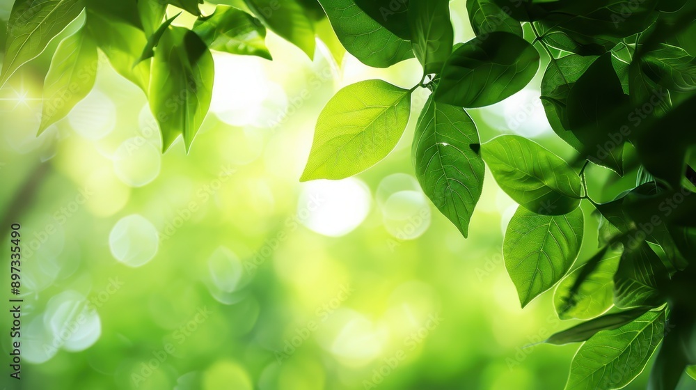 Close-up view of green leaves, with a focus on the intricate patterns of the veins and the varying shades of green, set against a blurred background of a green forest, illuminated by sunlight Close-up view of green leaves, with a focus on the intricate patterns of the veins and the varying shades of green, set against a blurred background of a green forest, illuminated by sunlight