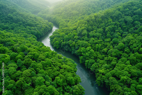 Aerial view of winding river through dense green forest, showcasing lush vegetation.