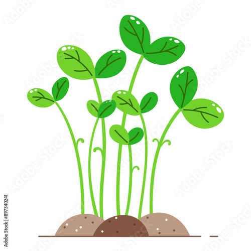 Germination of greenery, young shoots of plants