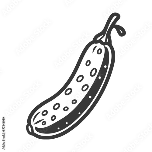 A Detailed Outline of a Single Cucumber