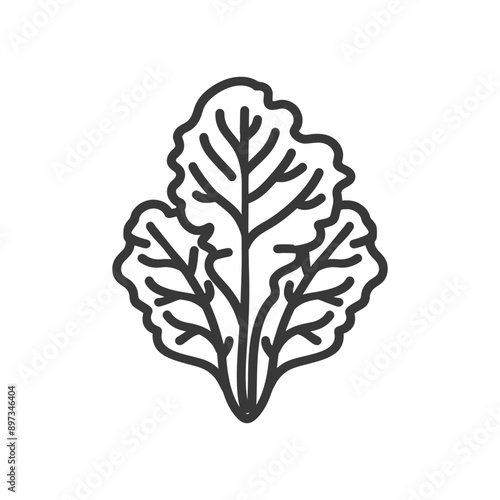 Line Art Illustration of a Single Leaf of Lettuce
