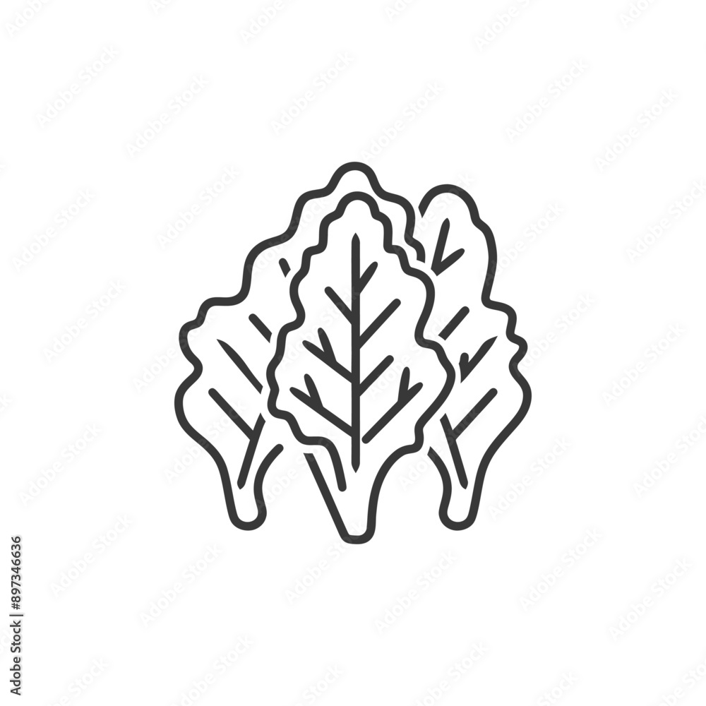 Line Art Illustration of Three Lettuce Leaves Line Art Illustration of Three Lettuce Leaves