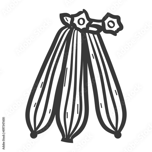 A Hand Drawn Illustration of Four Vanilla Beans