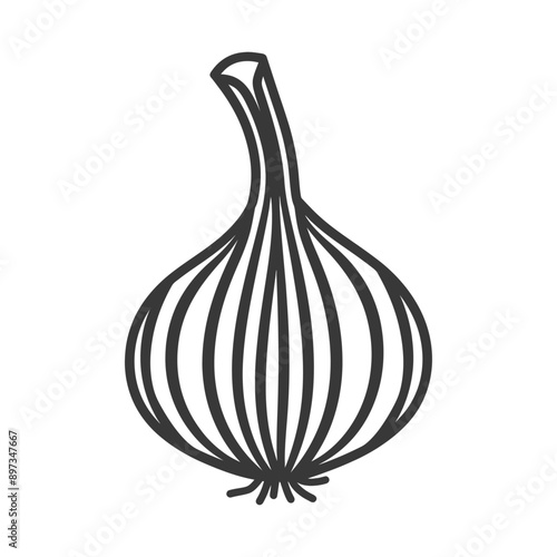 Line Drawing of a Single Onion with a Long Neck