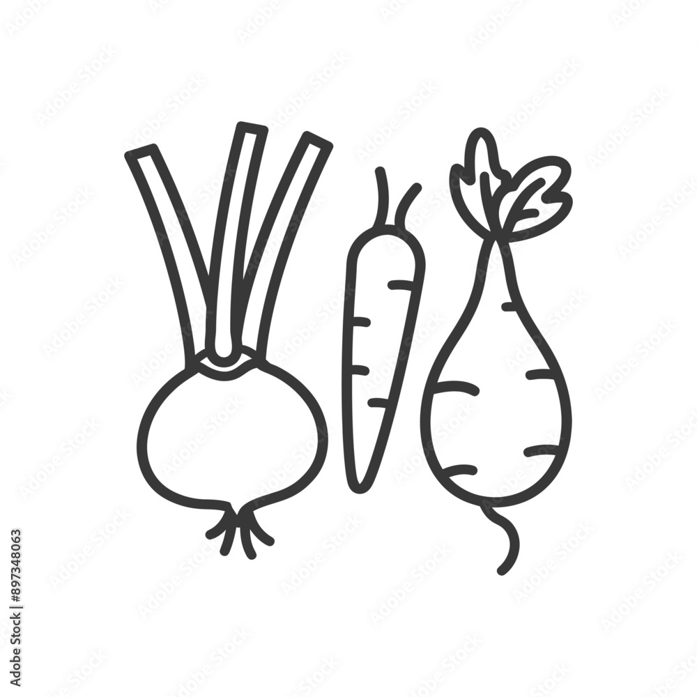 Fototapeta premium Line drawing of a turnip carrot and beet