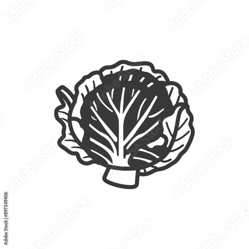 Black and White Hand Drawn Cabbage Illustration