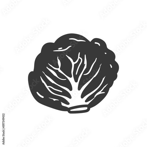 Hand Drawn Black and White Illustration of a Single Cabbage