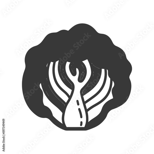 Black and White Illustration of a Head of Cabbage