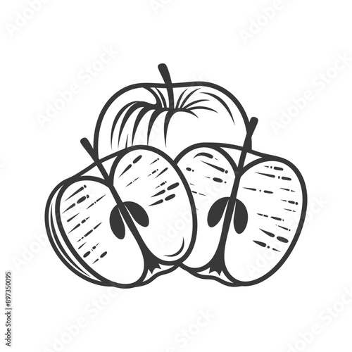 A Hand Drawn Illustration of Sliced Apples