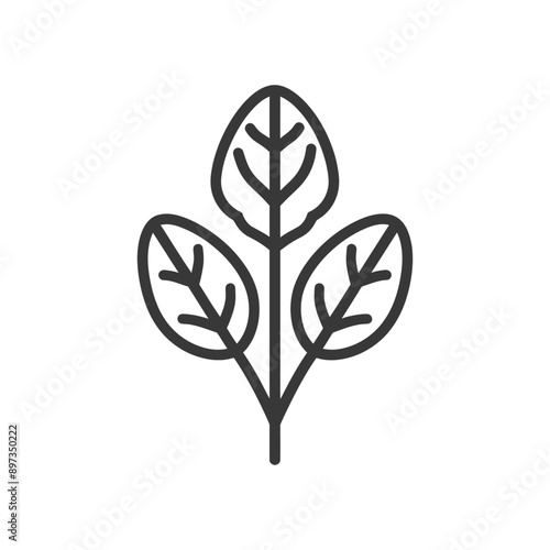 Line drawing of a spinach plant with three leaves