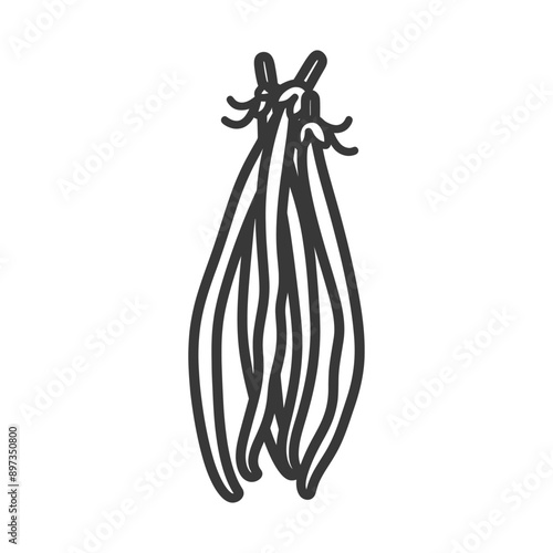 Line drawing of vanilla bean pods