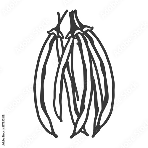 Hand Drawn Black and White Illustration of a Bunch of String Beans