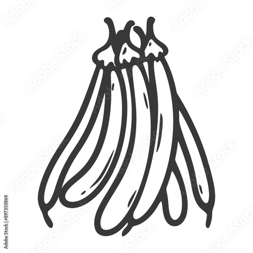 Hand drawn illustration of a bunch of vanilla beans