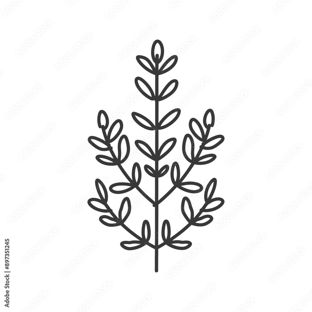 Line Drawing of a Branch with Leaves Line Drawing of a Branch with Leaves