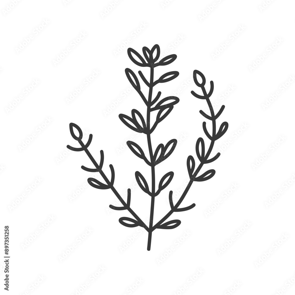 Hand Drawn Line Art Illustration of a Sprig with Leaves Hand Drawn Line Art Illustration of a Sprig with Leaves