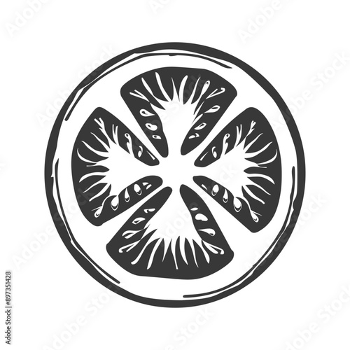 Hand drawn Illustration of a Cross Section of a Tomato