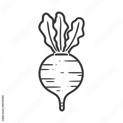 Hand drawn outline illustration of a beet with leaves