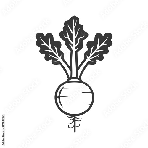 Black and White Line Drawing of a Turnip
