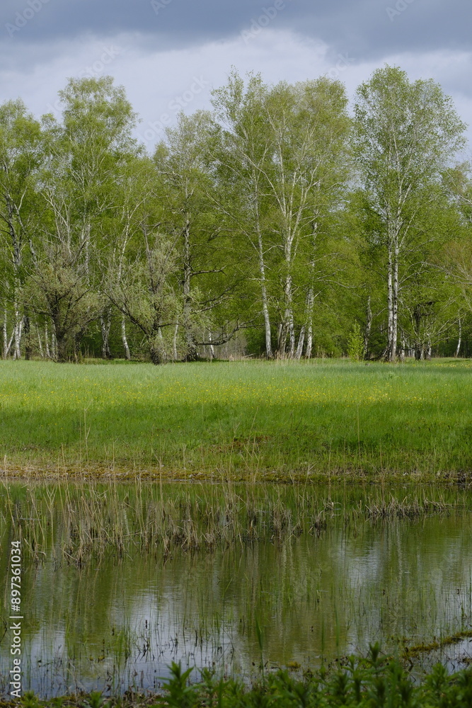 Dolinen im NSG Grettstädter Riedwiesen, Landkreis Schweinfurt, Unterfranken, Bayern, Deutschland.