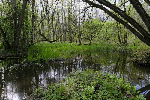 Dolinen im NSG Grettstädter Riedwiesen, Landkreis Schweinfurt, Unterfranken, Bayern, Deutschland.