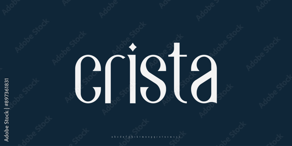 Elegant Modern Serif Alphabet Font Set – Minimalist and Classic Lettering
Elegant Modern Serif Alphabet Font Set – Minimalist and Classic Lettering