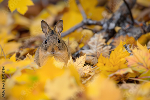 Siberian Mouse Art - Detail...