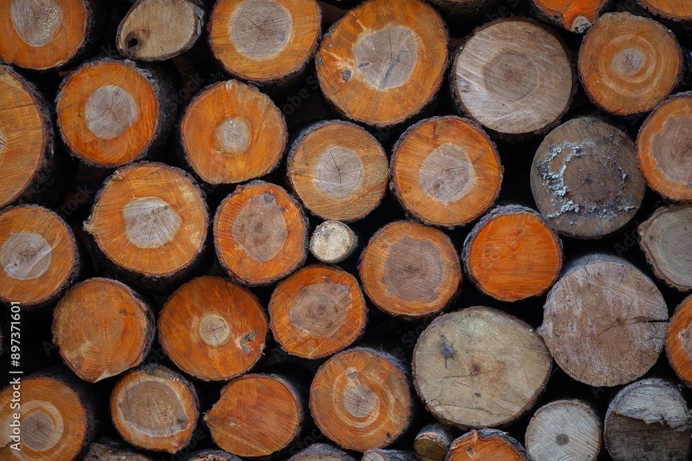 Background of round wooden firewood evenly cut. Wood processing. Background of round wooden firewood evenly cut. Wood processing.