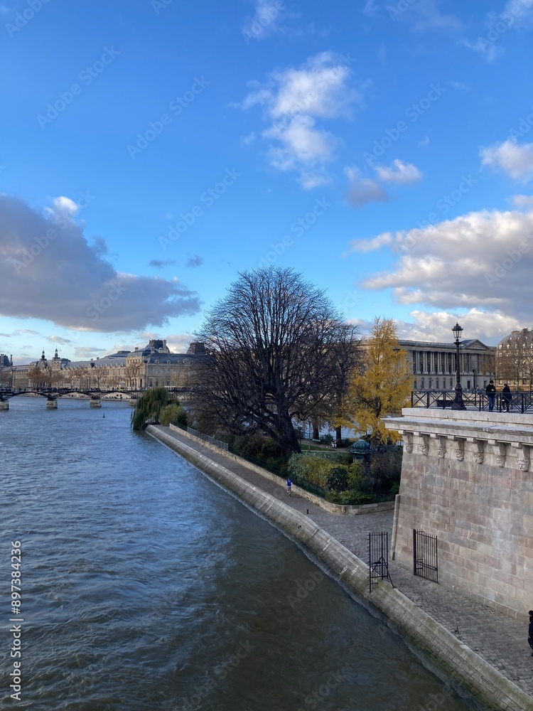 Naklejka premium river seine
