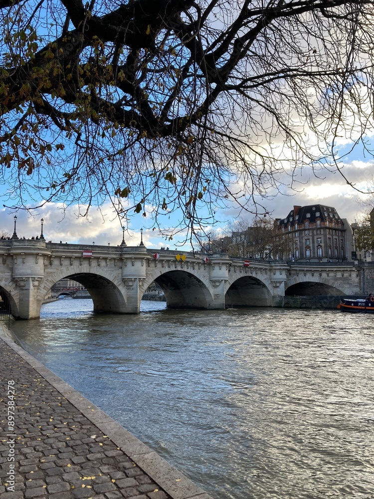 Obraz premium bridge over the river