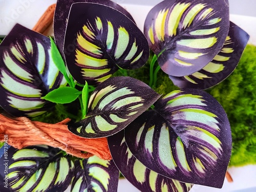 Close up of Artificial Aglaonema Plants or Sri Rezeki with tree root as wall decoration background. photo