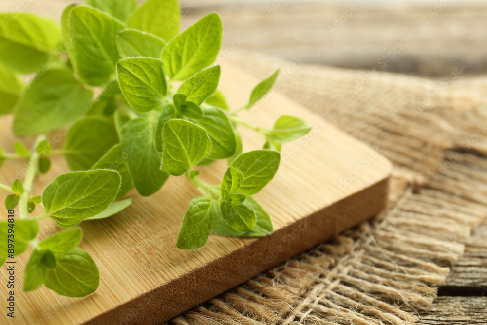 Sprigs of fresh green oregano on table, closeup Sprigs of fresh green oregano on table, closeup
