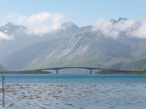 Bridge over the lake