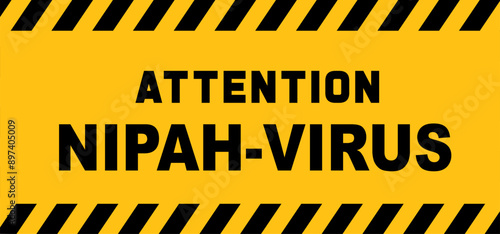 Nipah-virus (NiV) is a bat-borne zoonotic virus that causes Nipah virus infection in humans and animals. Symptoms of infection initially include fever, headache, vomiting, sore throat and muscle aches