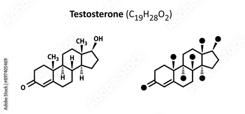Testosterone structure C19H28O2 Sex hormone formula chemical structure molecule. Medical icon. Formula of chemical structure of estrogen, adrenaline testosterone. Structural formulas cells.