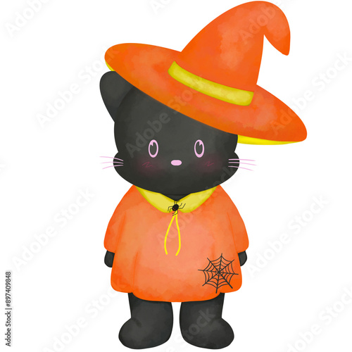 Witch black cat halloween  element