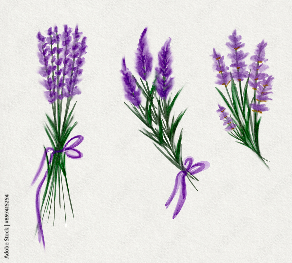 Fototapeta premium Watercolour lavender illustration bouquets on textured background