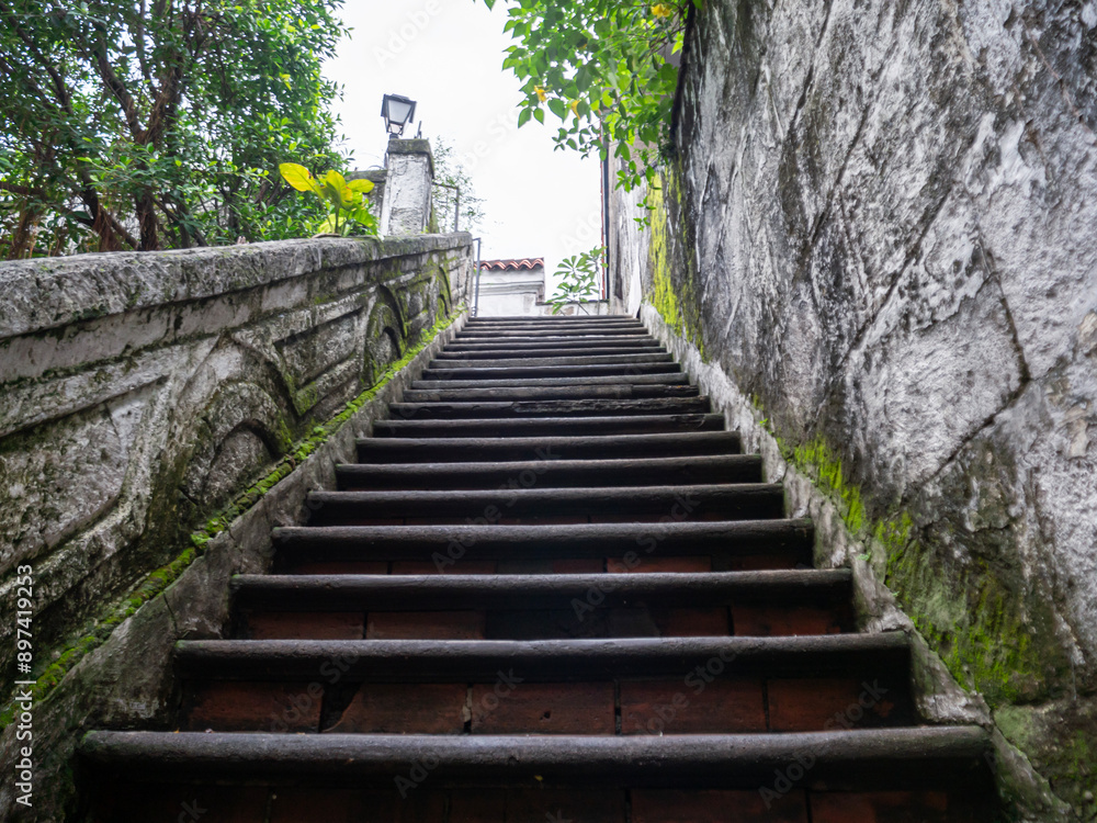 Moss-covered stone steps leading upward in a tropical setting Moss-covered stone steps leading upward in a tropical setting