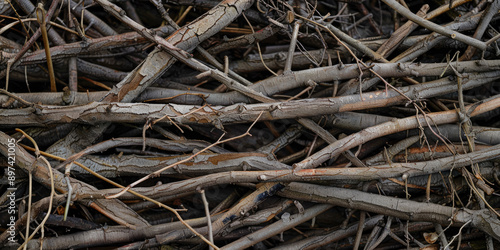 Texture Of Wooden Branches Of Twigs For Background And Other Design Solutions Created Using Artificial Intelligence