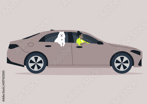 A character drives a sedan with their white Samoyed dog happily peering out the back window