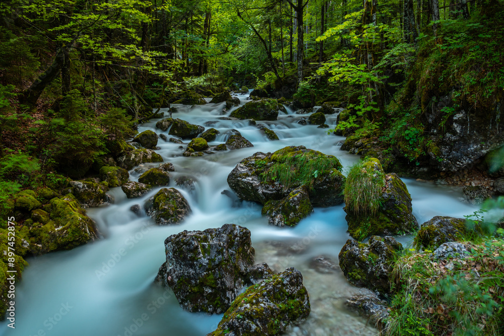 Dürrenbach Waldbach bei Hallstatt Salzkammergut Österreich Dürrenbach Waldbach bei Hallstatt Salzkammergut Österreich