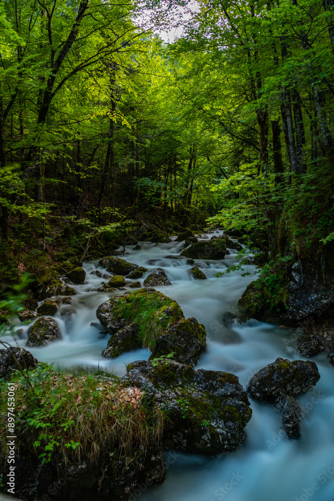 Dürrenbach Waldbach bei Hallstatt Salzkammergut Österreich