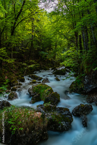 Dürrenbach Waldbach bei Hallstatt Salzkammergut Österreich