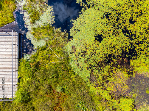 Photography Overhead view of sifton bog in london ontario canada with the dock