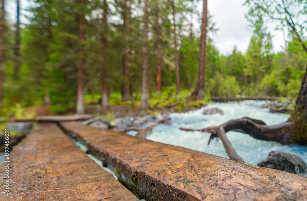 wet bridge in the forest, closeup wet bridge in the forest, closeup